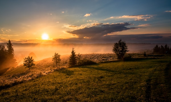 Horizon dégagé et ciel doré au lever du soleil symbolisant la clarté mentale et l'autonomie vitale retrouvée